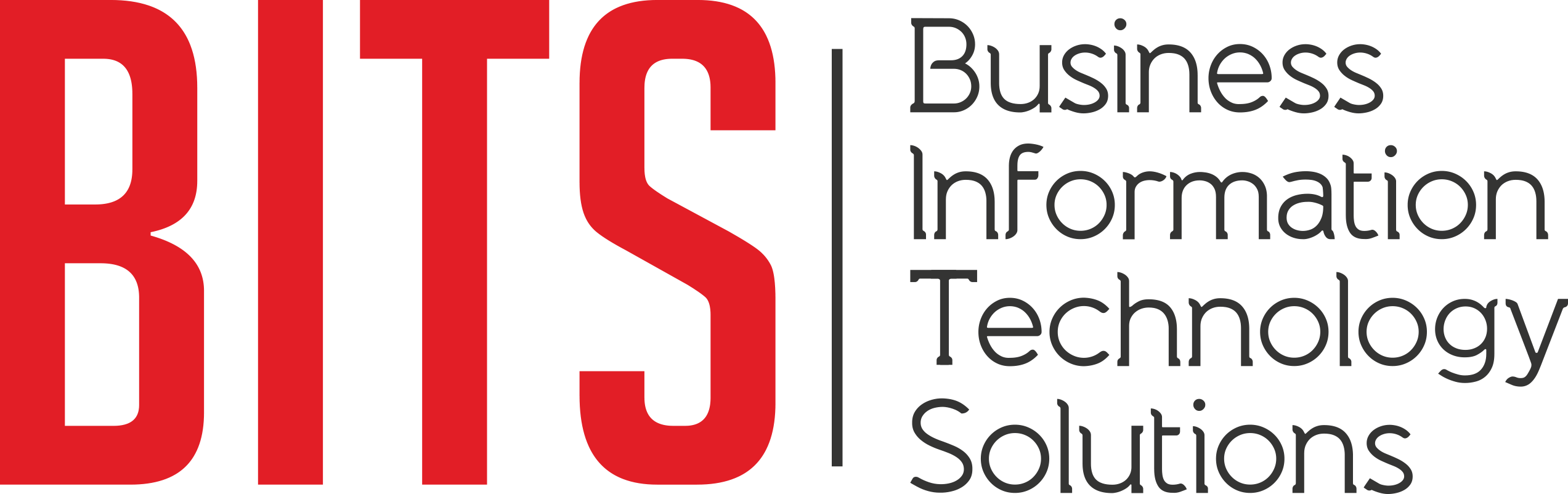 Business Information Technology Solutions